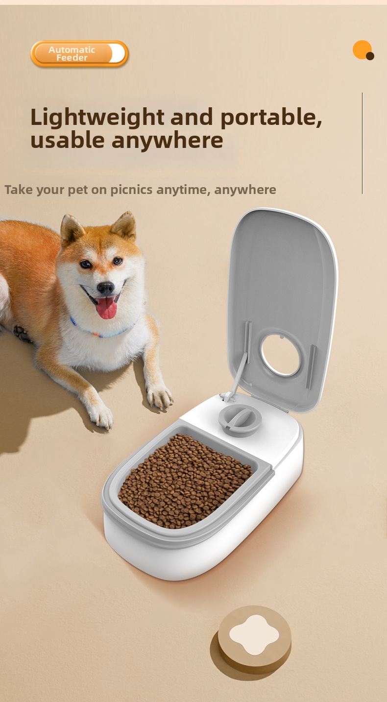 Automatic Dry & Wet Food Cat Feeder with Timer and Sealed Lid