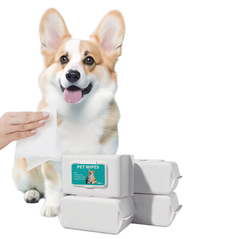 Biodegradable Cat Cleaning Wipes for Paws, Body & Bum — Gentle Daily Freshness Between Baths