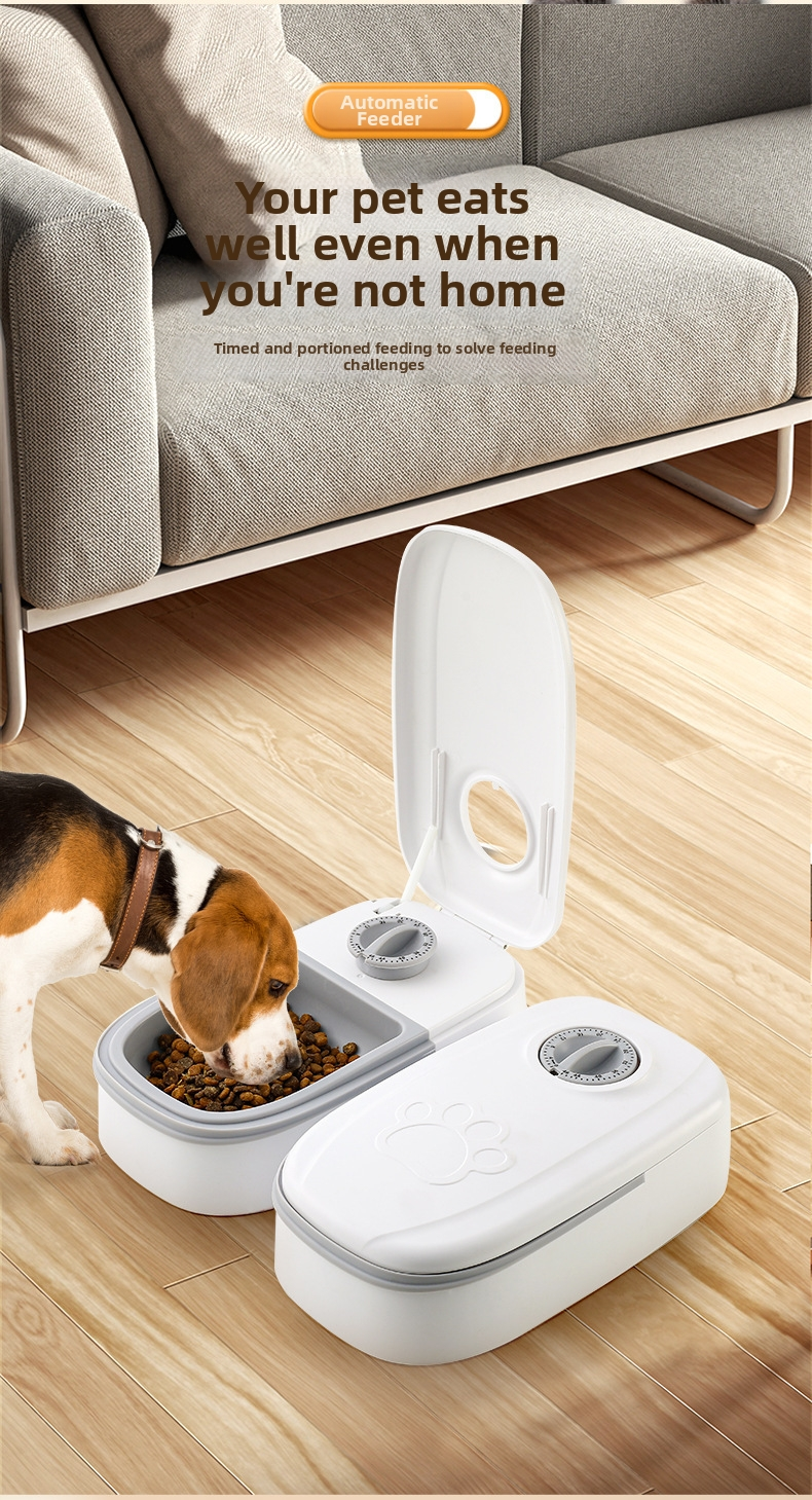 Automatic Dry & Wet Food Cat Feeder with Timer and Sealed Lid