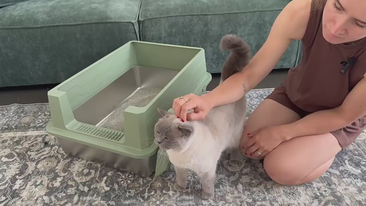 XXXL Open Stainless Steel Cat Litter Box with High Splash Guard, Easy-Clean Tray & Spacious Design